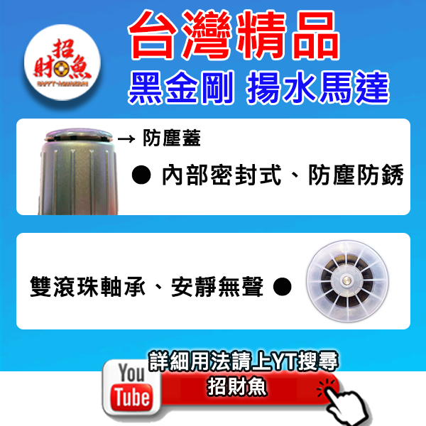 黑金剛揚馬