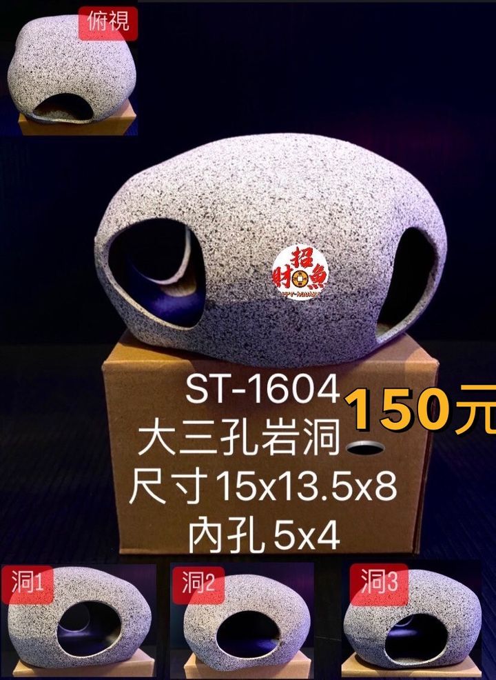 311599550_1791275467873716_4981755496150217037_n