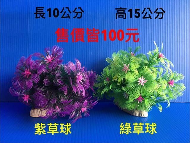 草球