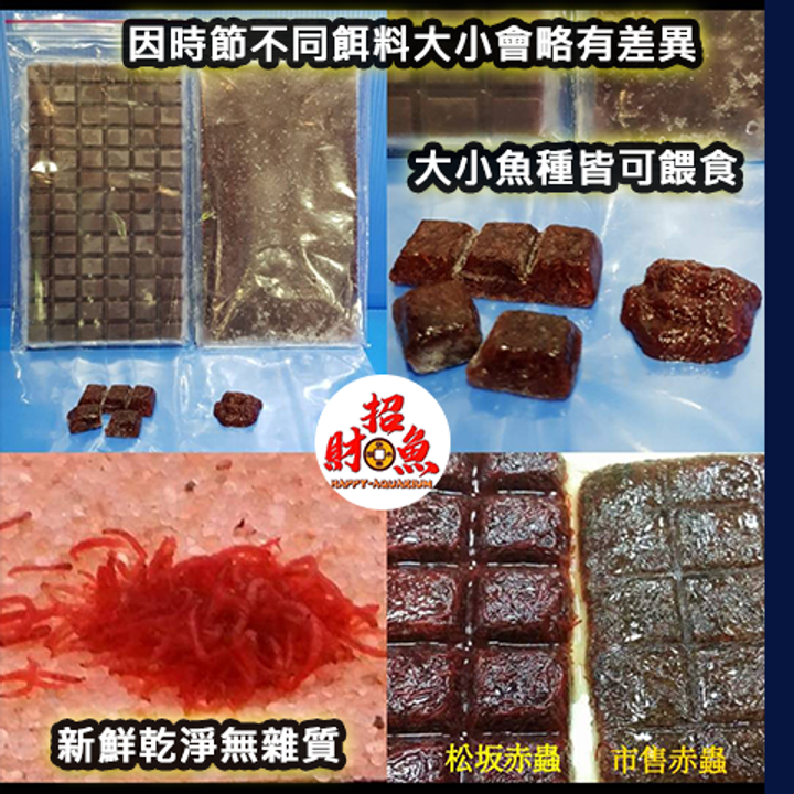 冷凍餌料-松坂赤蟲