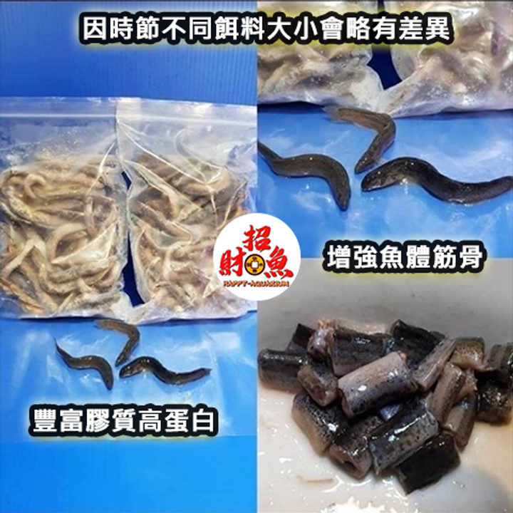 冷凍餌料-泥鰍-1