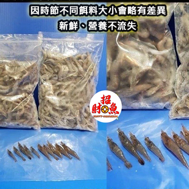冷凍餌料-溪蝦