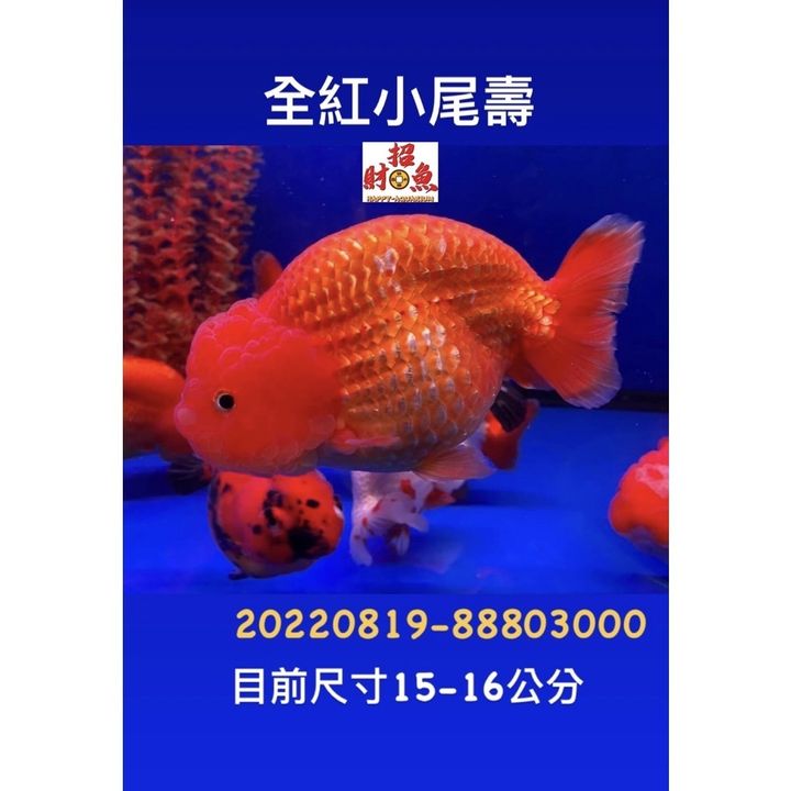 b8da4bbd90a96491d444c0e25311f365