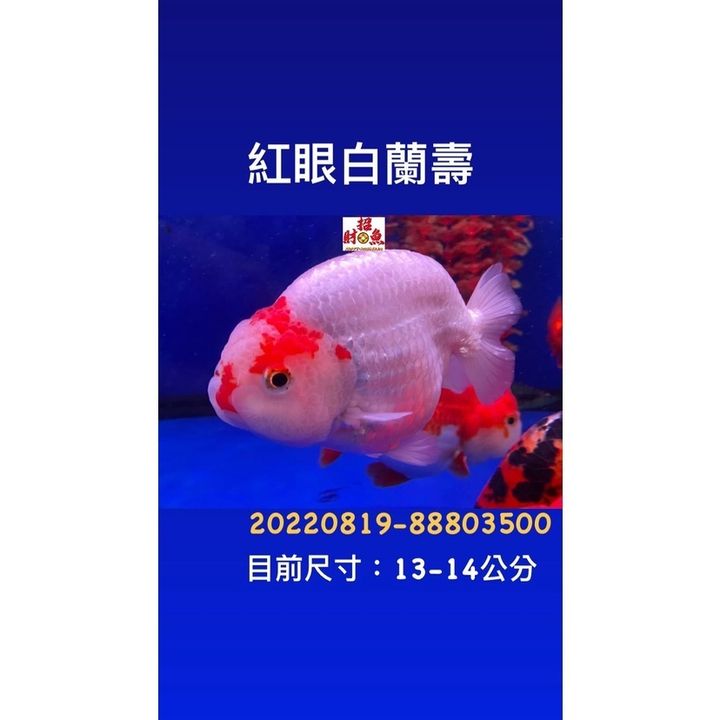 29c0794d73cdc953e5703d9b6f6b2530
