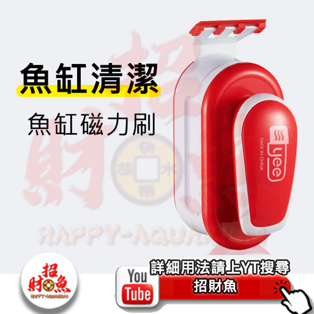 4031-YEE-磁力刷-1