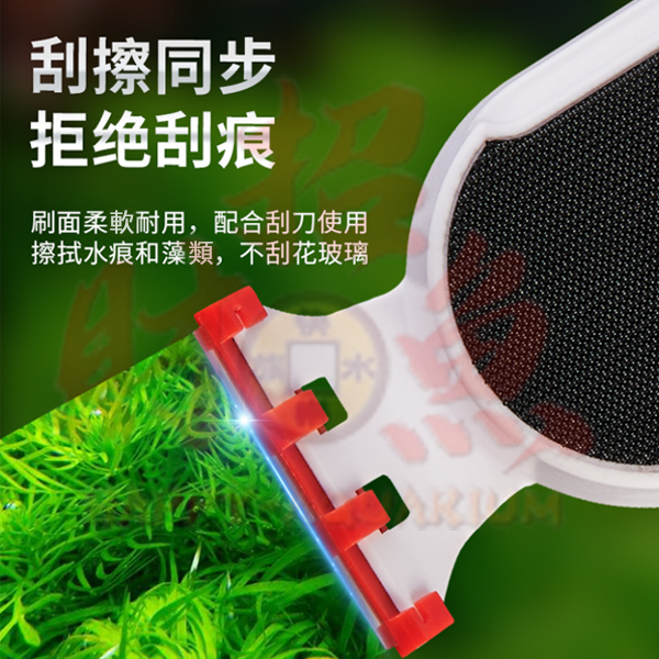 4031-YEE-磁力刷-2