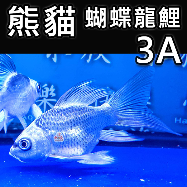 3A-2