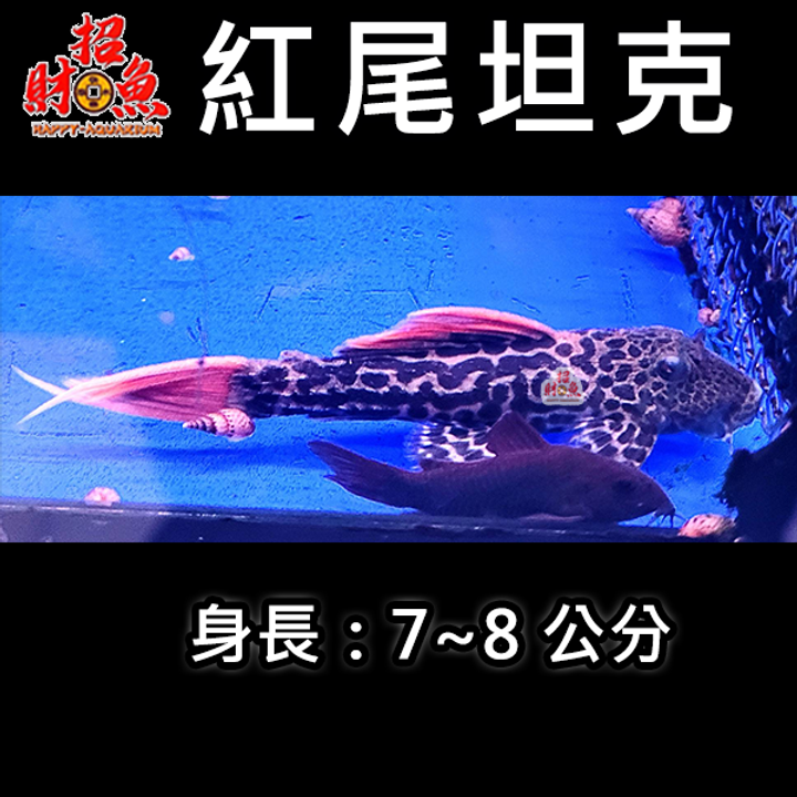 G04-異形-紅尾坦克