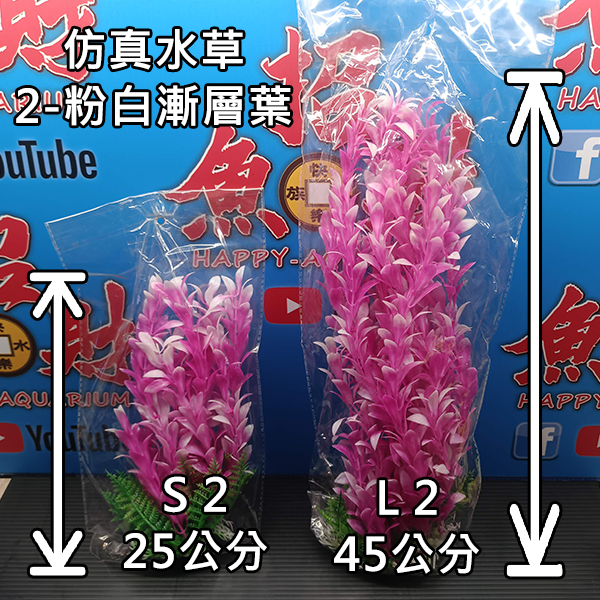 41122-粉白漸層葉