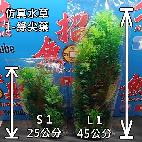 41121-綠尖葉