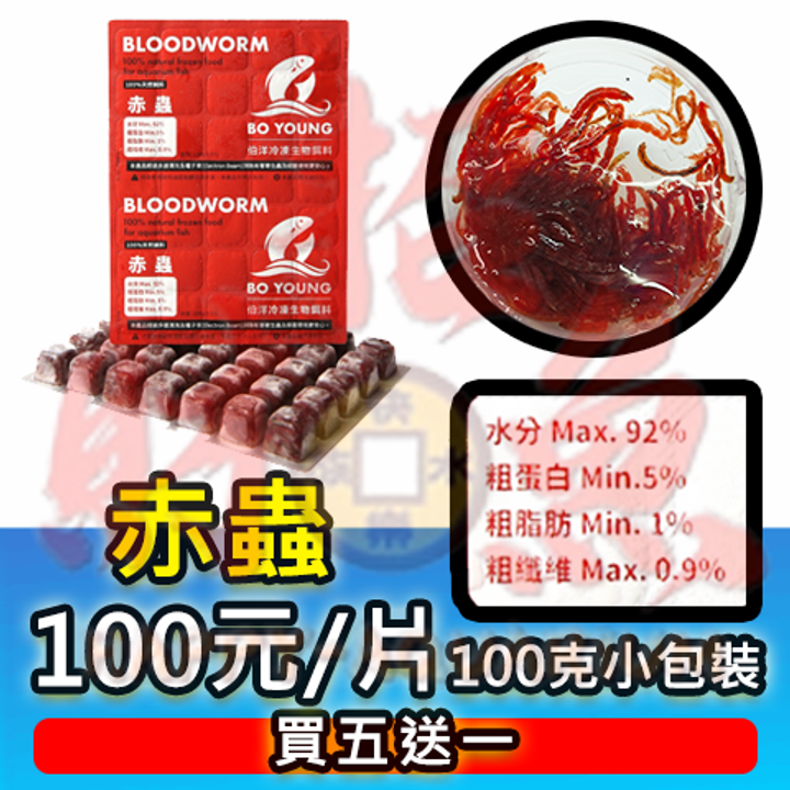 4162-伯洋冷凍餌料-赤蟲-1