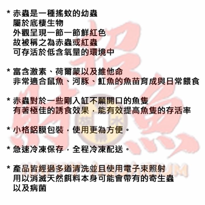 4162-伯洋冷凍餌料-赤蟲-2