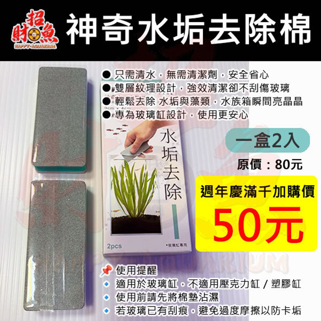 4039-伊士達-神奇水垢去除棉-週年慶加購價