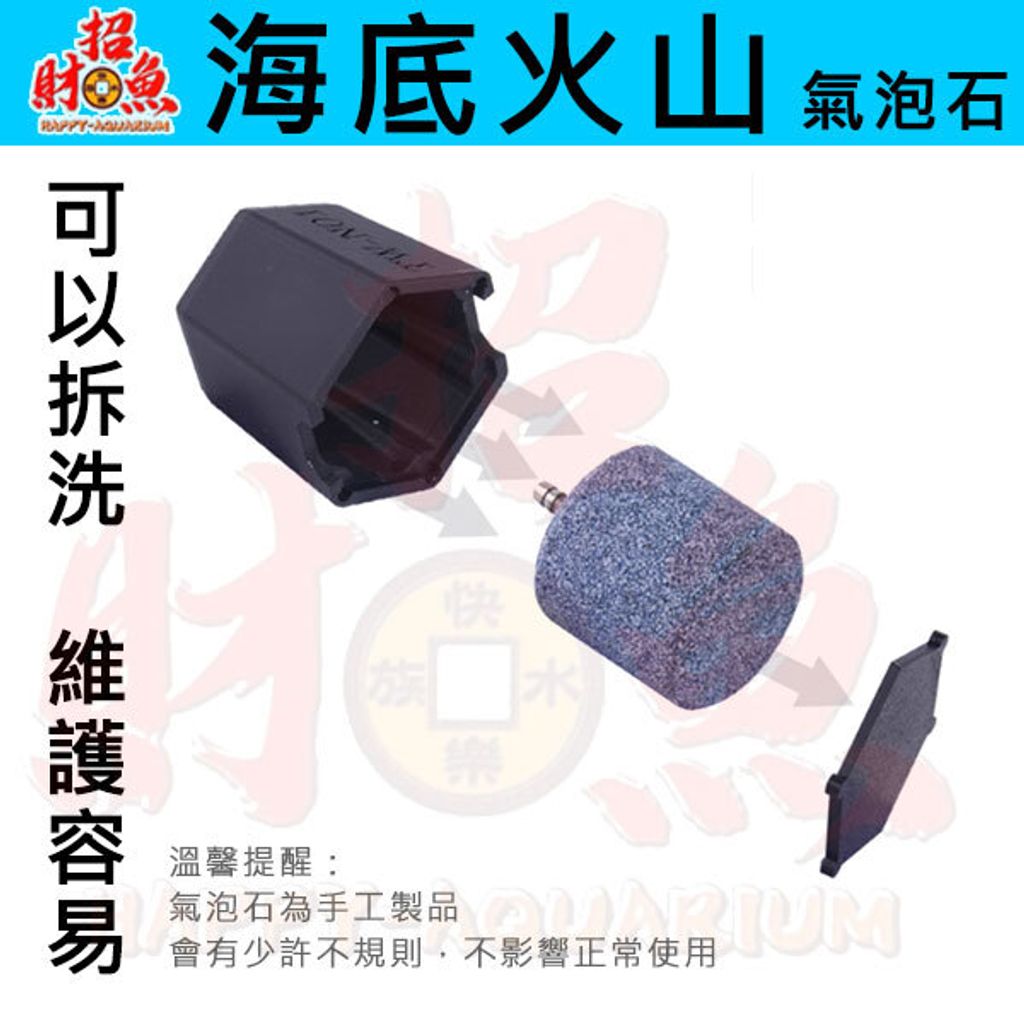 40127-海底火山氣泡石-2
