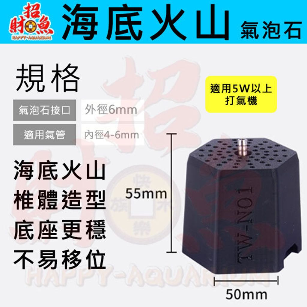 40127-海底火山氣泡石-1