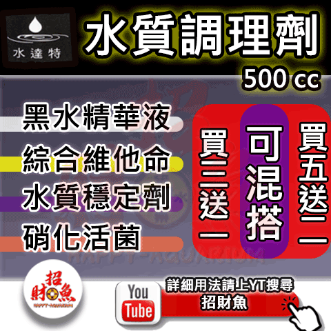 水達特-水質護理系列-500-2