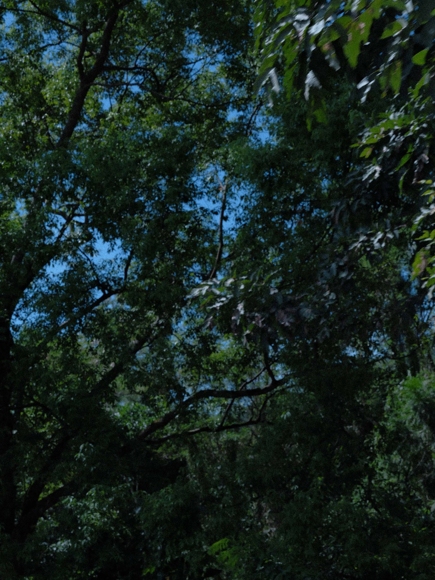 眠腦minnao | 員工旅遊 暫停出貨