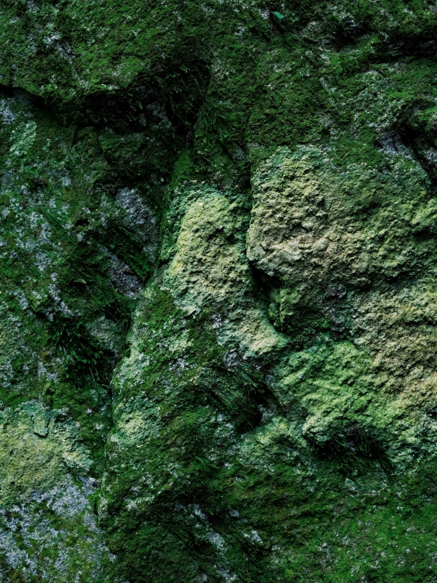 眠腦minnao | 三週年優惠