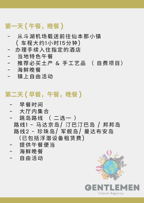 Blue Yellow Modern Travel Agent Flyer (8)