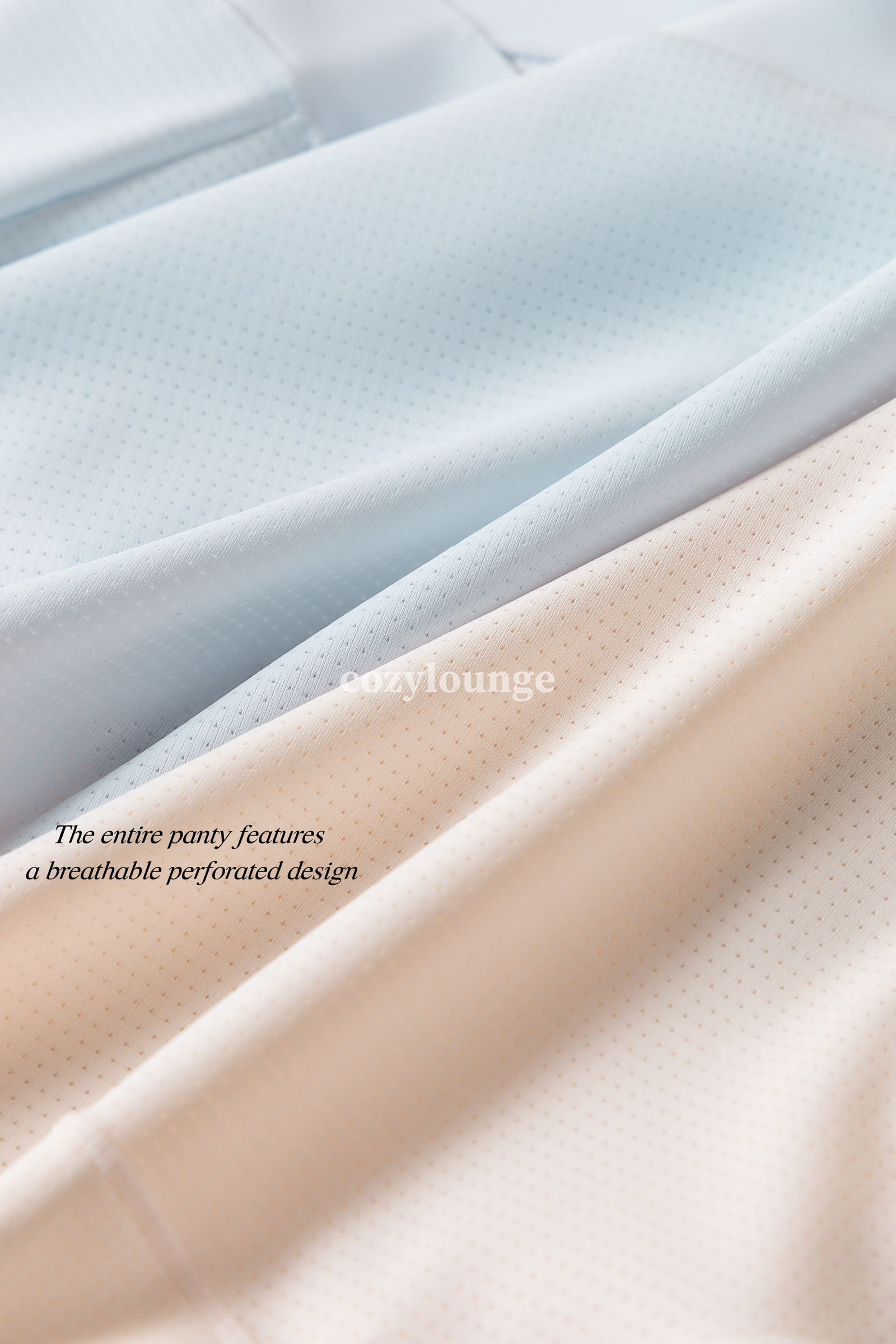 image_B570D101-47AF-42E4-A673-2549BD2D56A4_1765781252