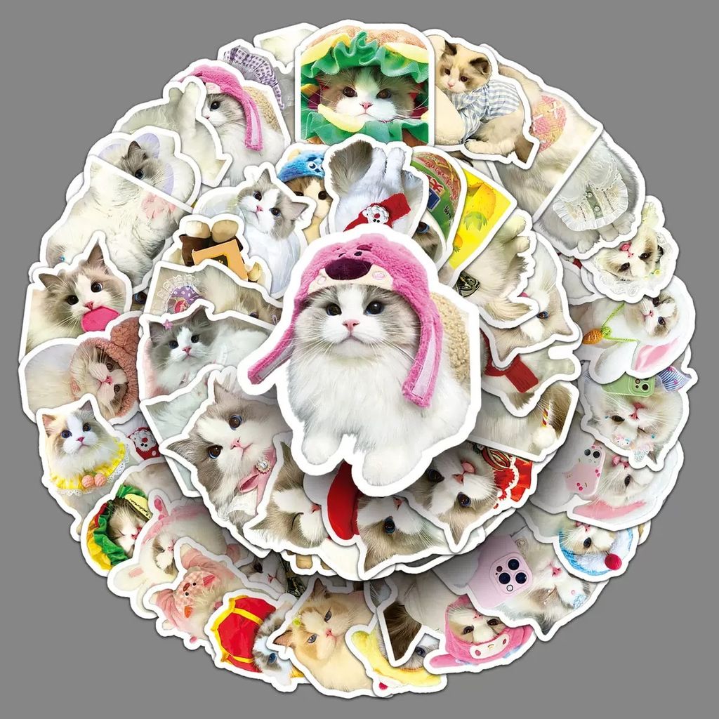 image_E650A445-EC8F-46FC-9197-50C1BBFACDB1_1780674600