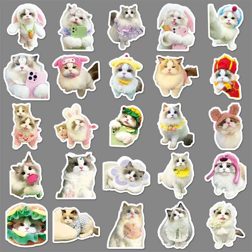 image_80588E5E-24A4-41CE-898A-693CCBBDED89_1780674600