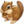 🐿️