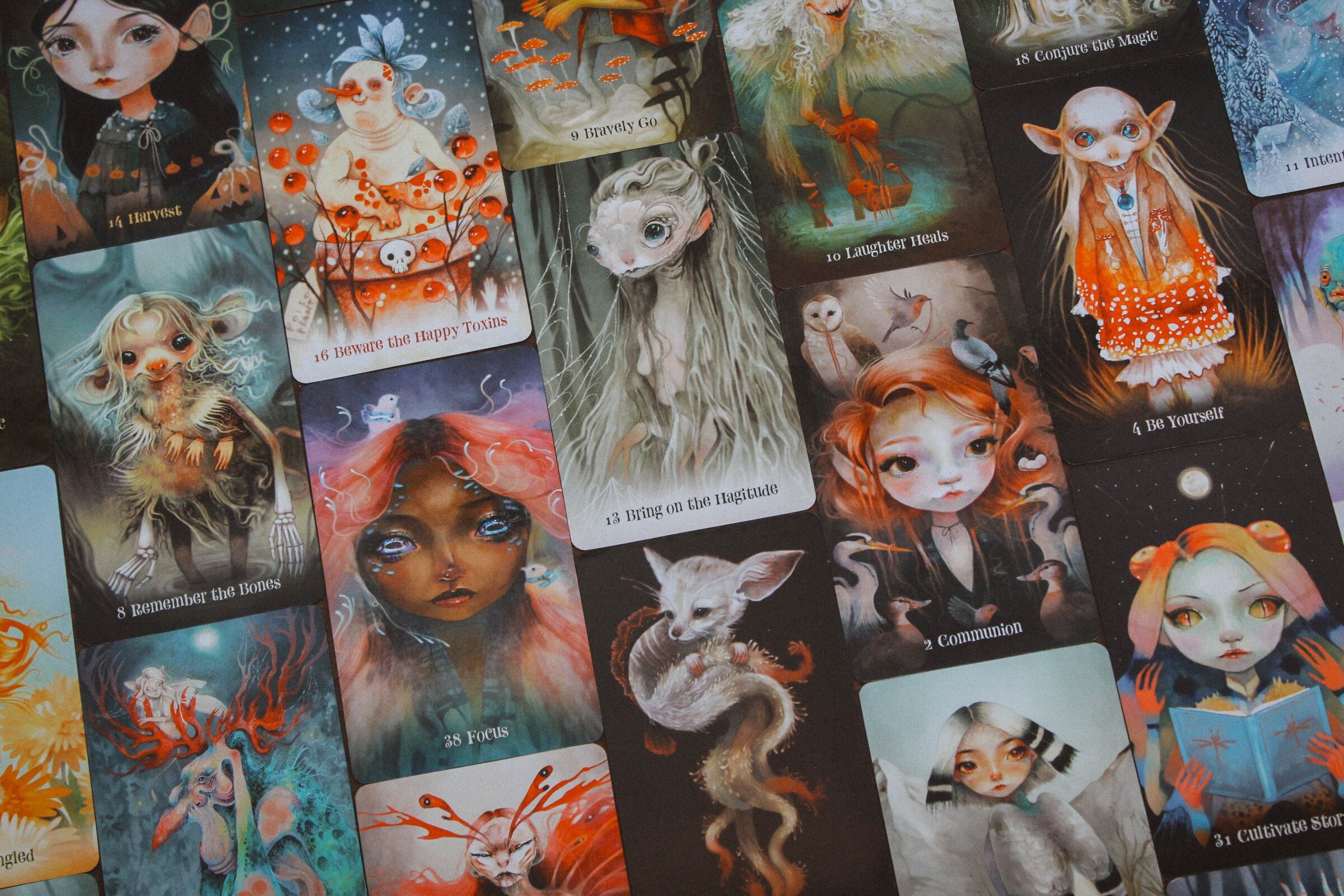 Wisdom+of+the+Wild+Things+-+favorites+flatlay+-+wide+-+01292024