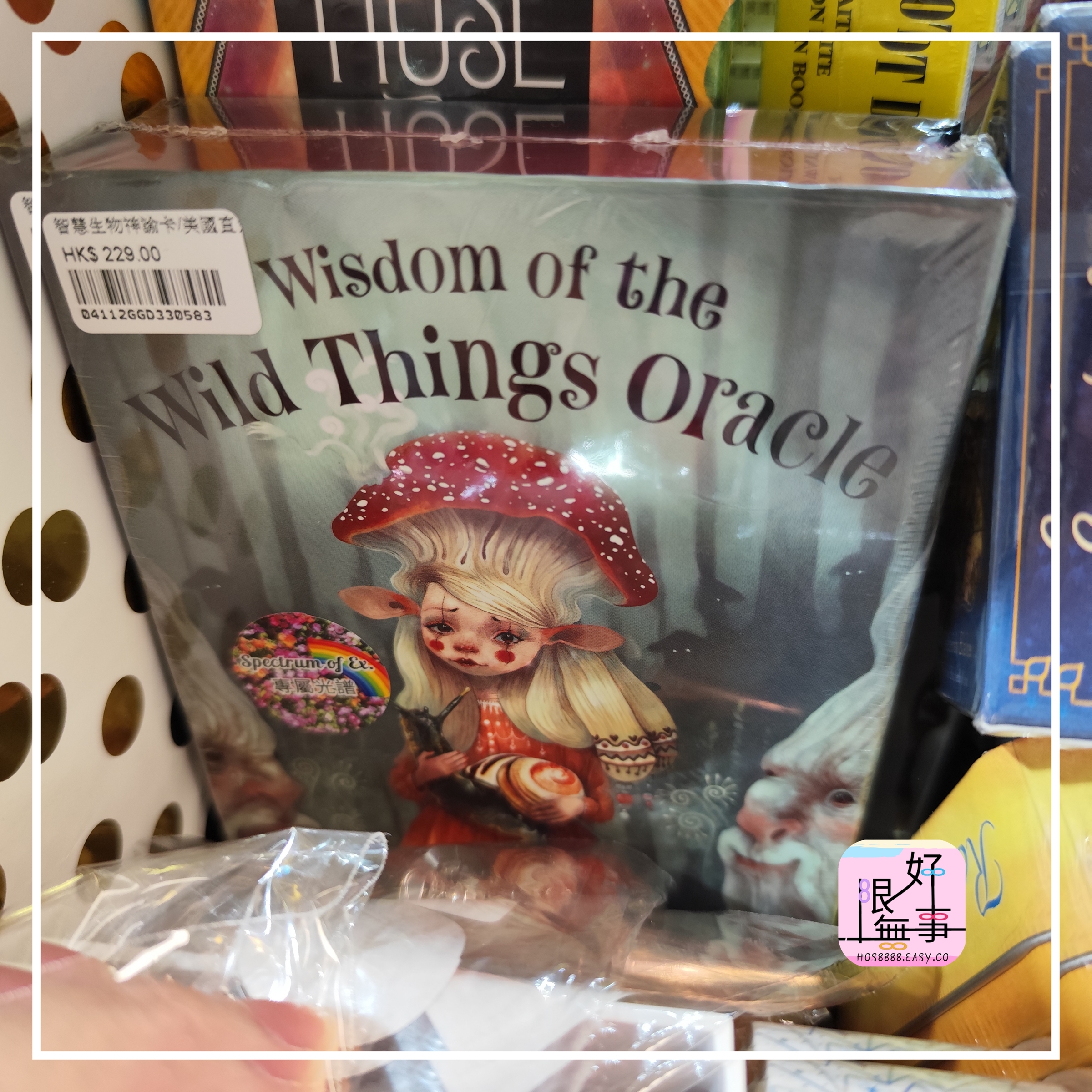 Polish_20240404_145734957