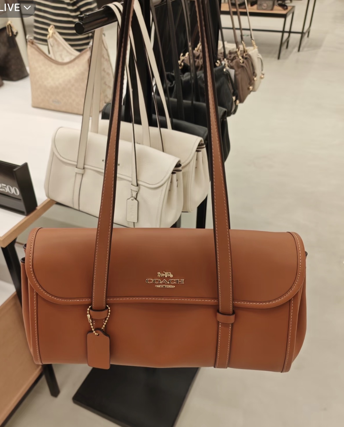 image_88CDE9D5-6BB7-4915-8A96-08AF3E6B5811_1775301102