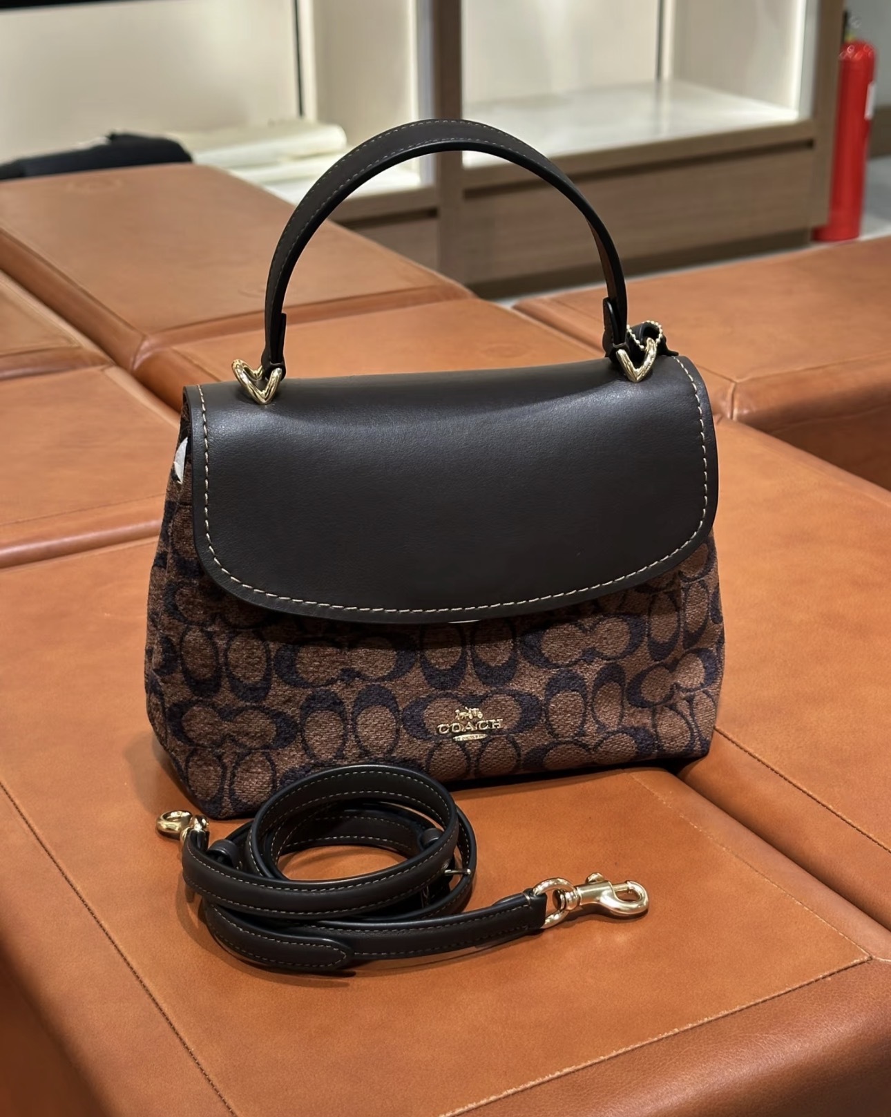 image_F486B193-69D9-4858-A78F-D56179CFBBDE_1775632724