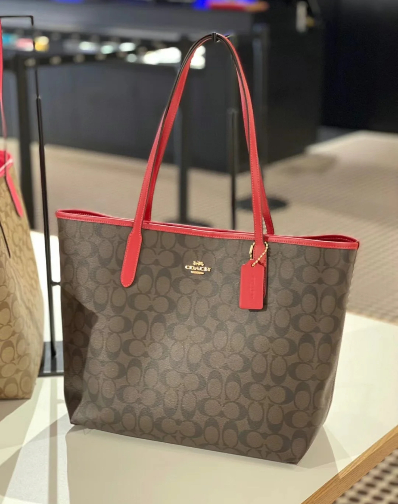 COACH City Tote Bag 33 In Signature Canvas
