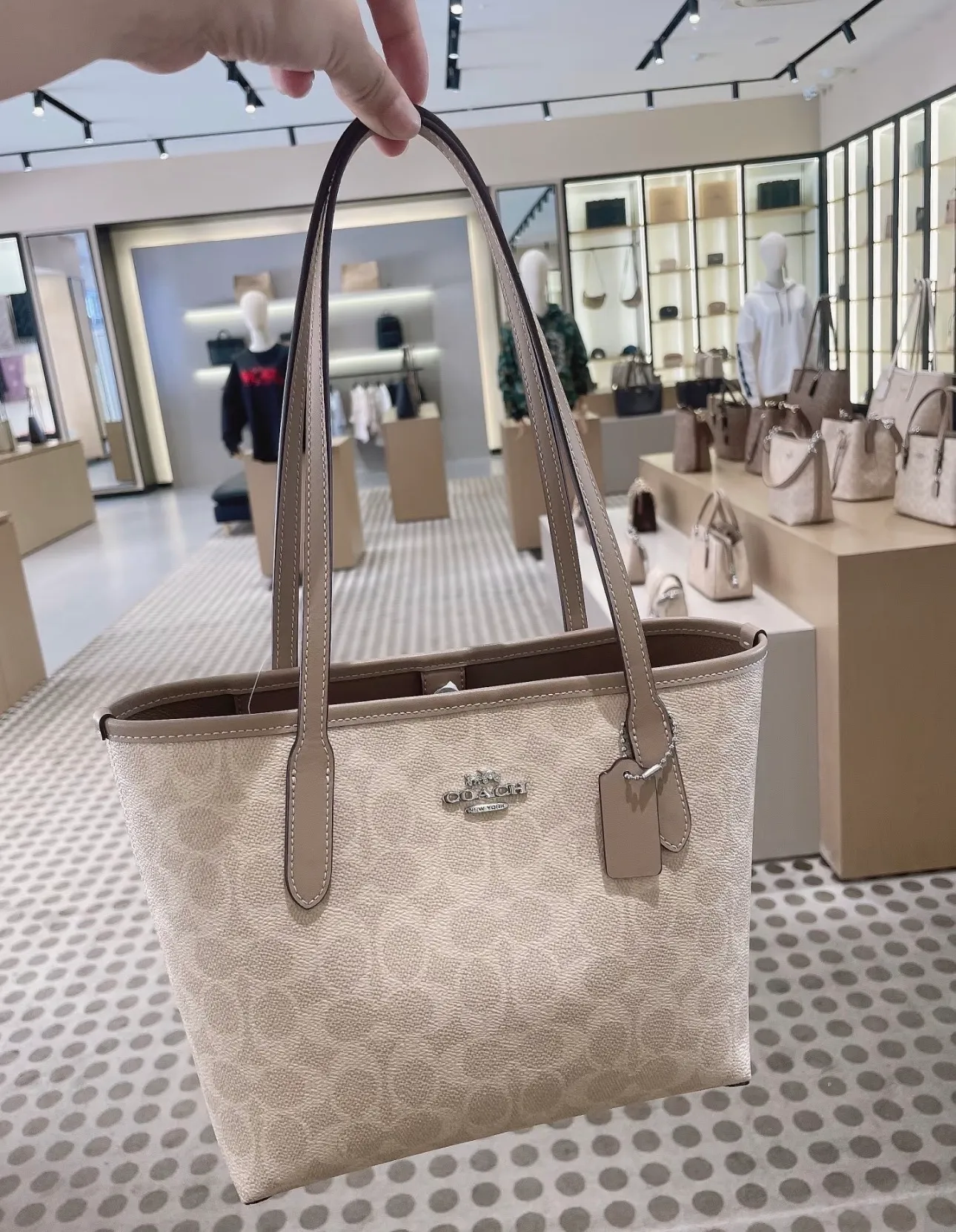 image_98731A87-29FE-4919-9CF3-E25C8933092C_1762684435