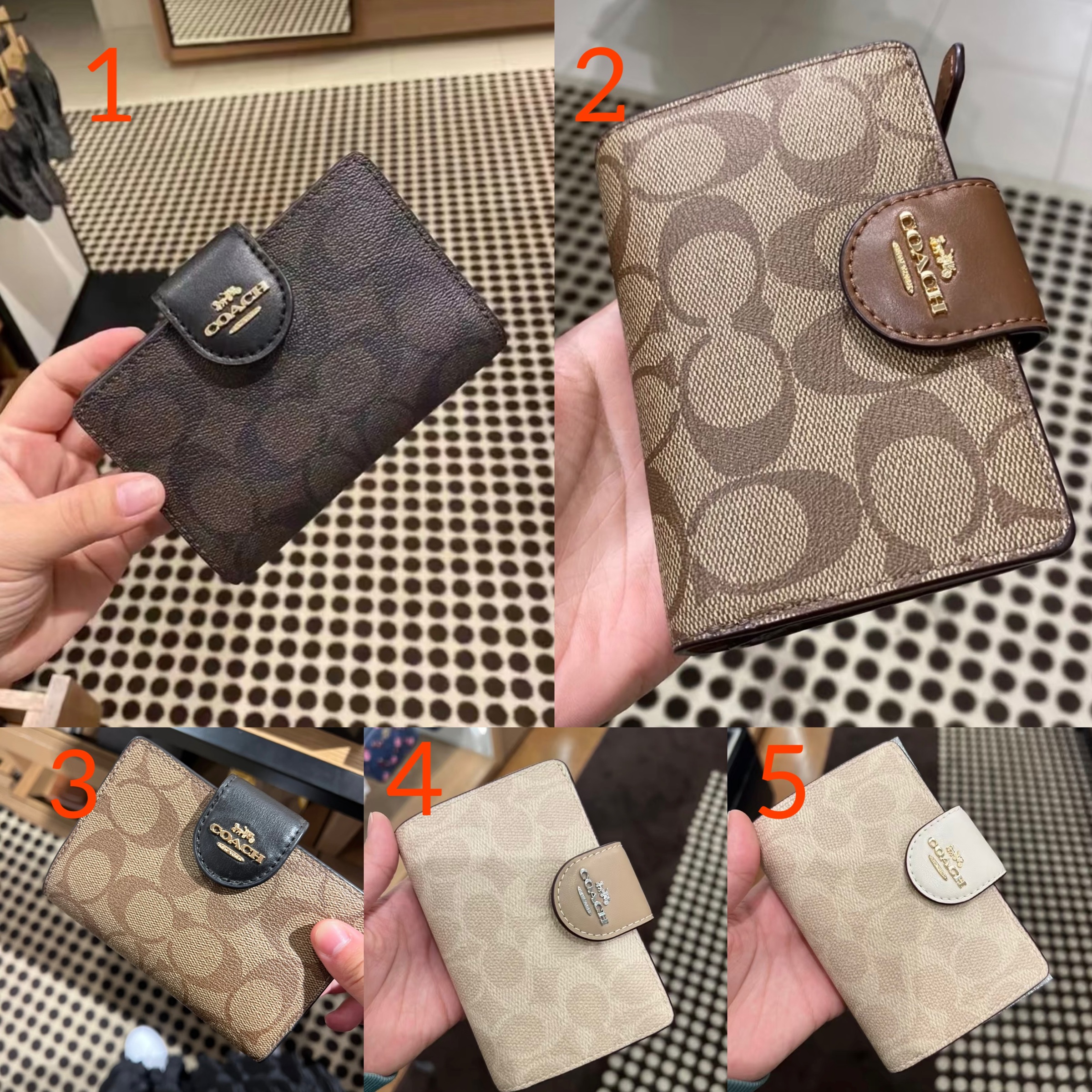 image_B53FBD79-BA64-443C-AC98-3844B7D2FC0A_1763779905