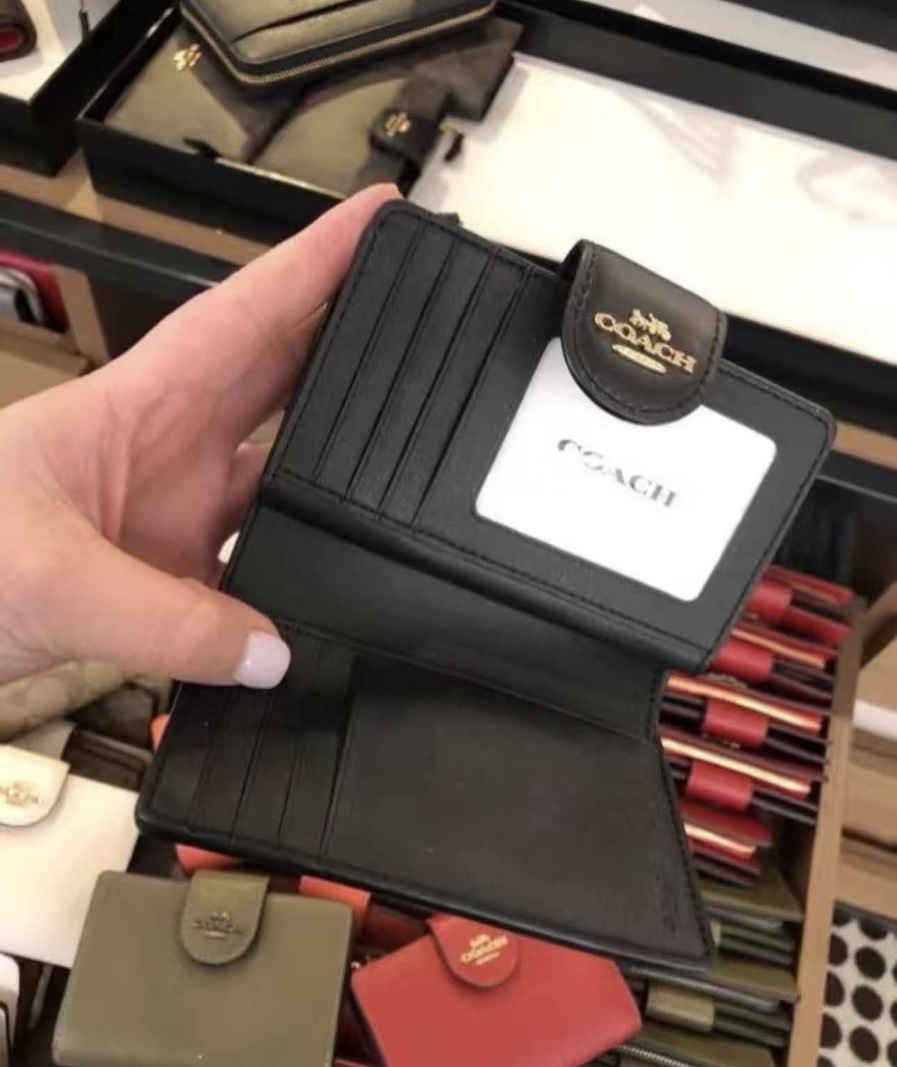 image_67DE1DB8-06DC-453F-A7E5-85A66176C334_1763779905