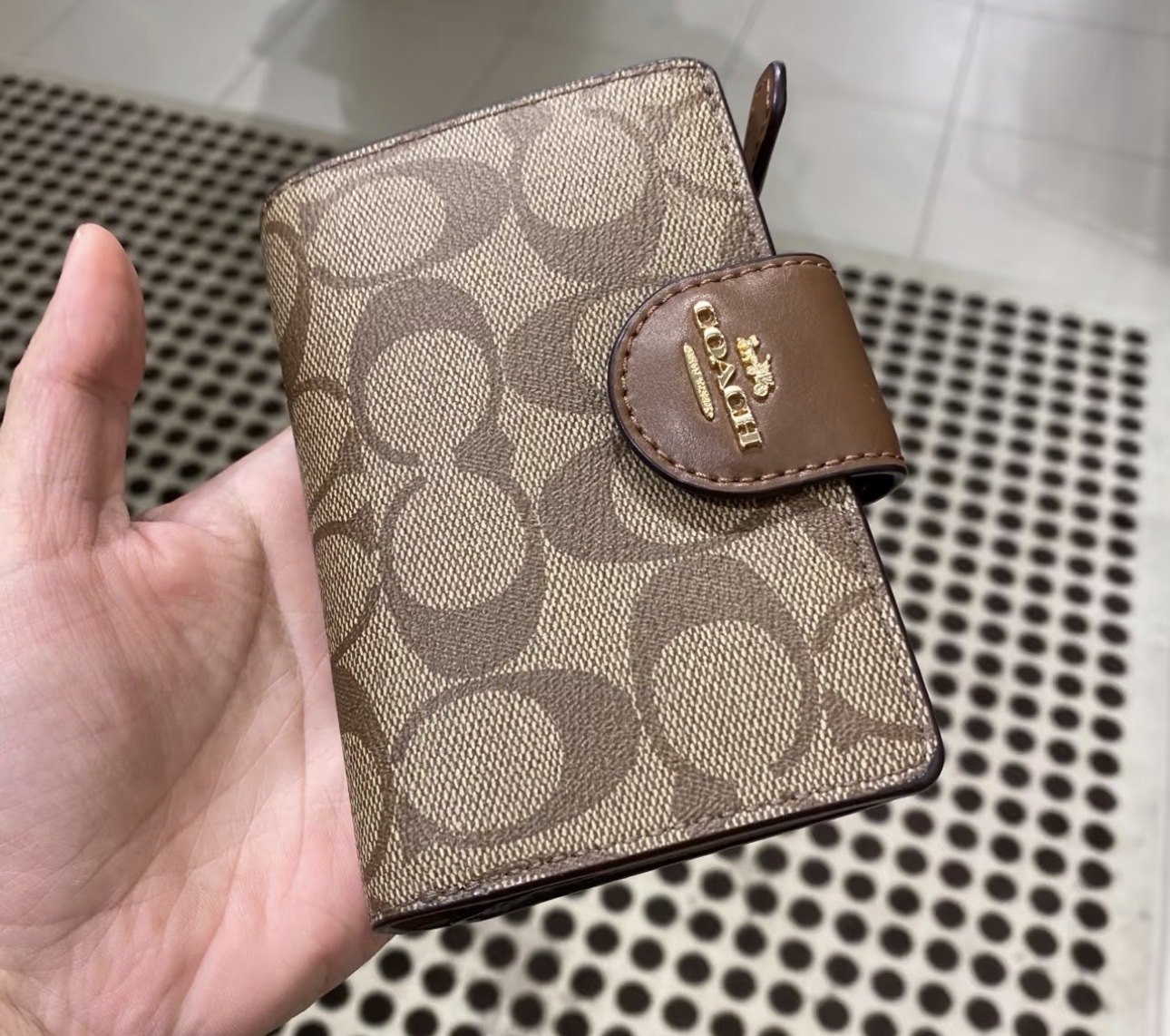 image_3E3C9E7F-3983-4225-A2C8-EBA753FABF0F_1763779905