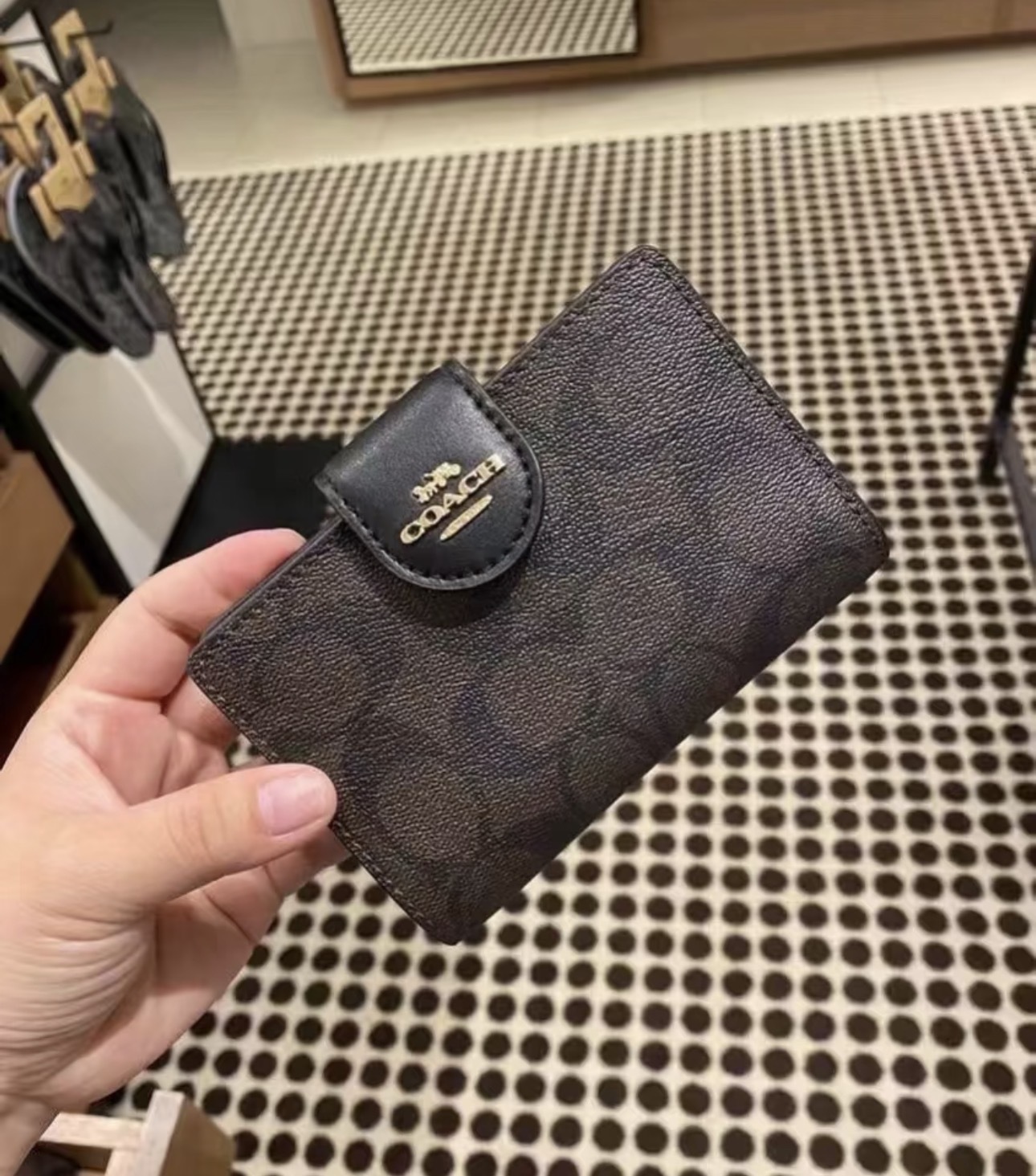 image_562B4905-3832-4E06-B13E-8463C3748A0F_1763779905