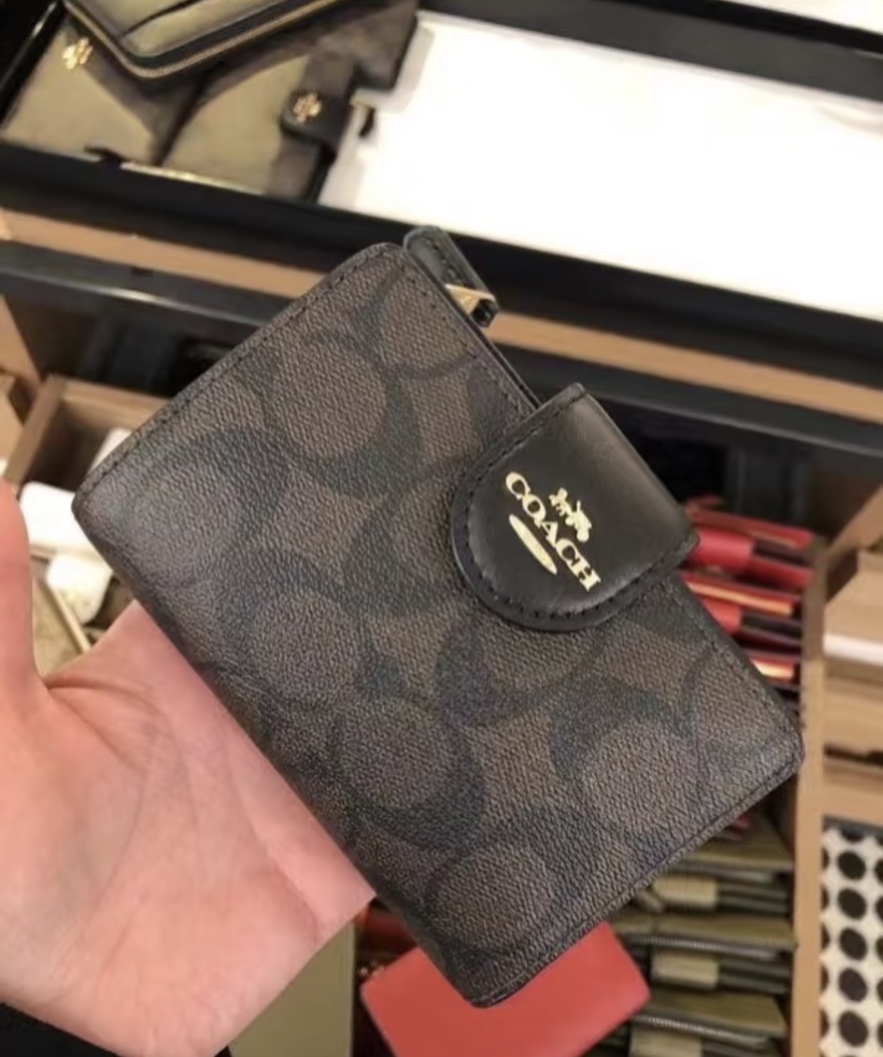 image_E65D88C2-0709-4D77-9743-D584D6D94267_1763779905