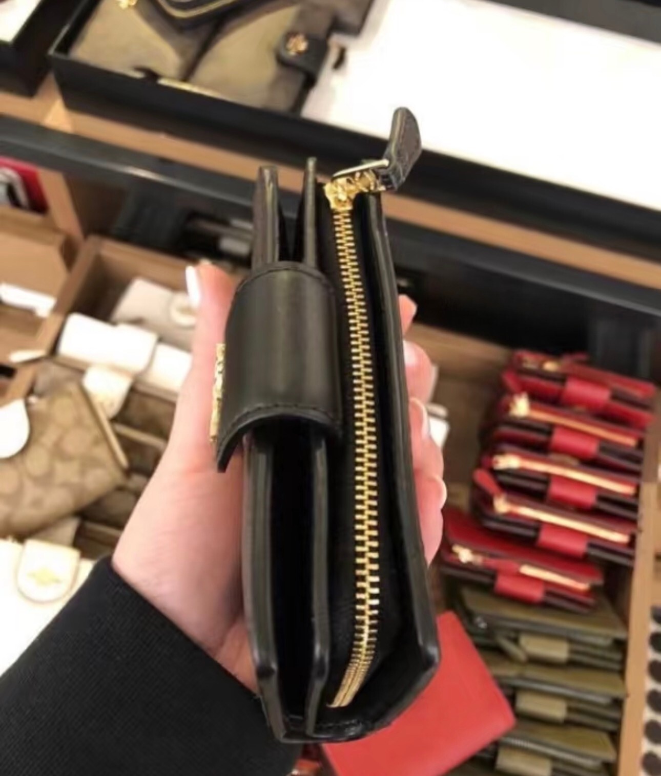 image_E9E47D4E-8147-4C0A-A12D-2B15F6316F3D_1763780030