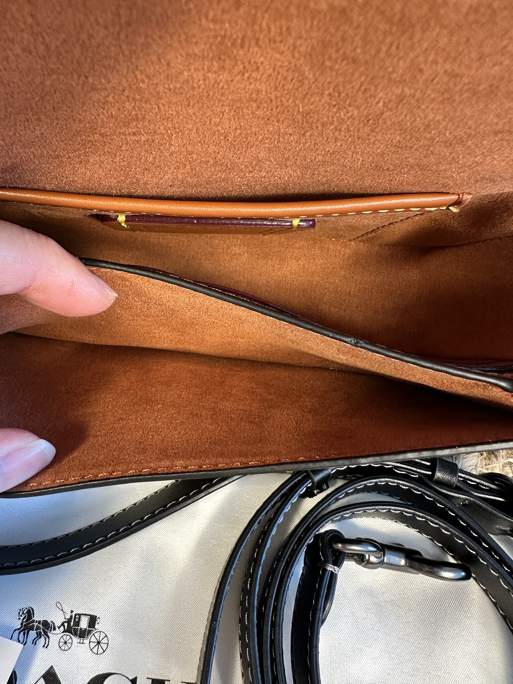 image_4341C28C-5368-496D-AF4B-8DA4F7D14699_1764652993