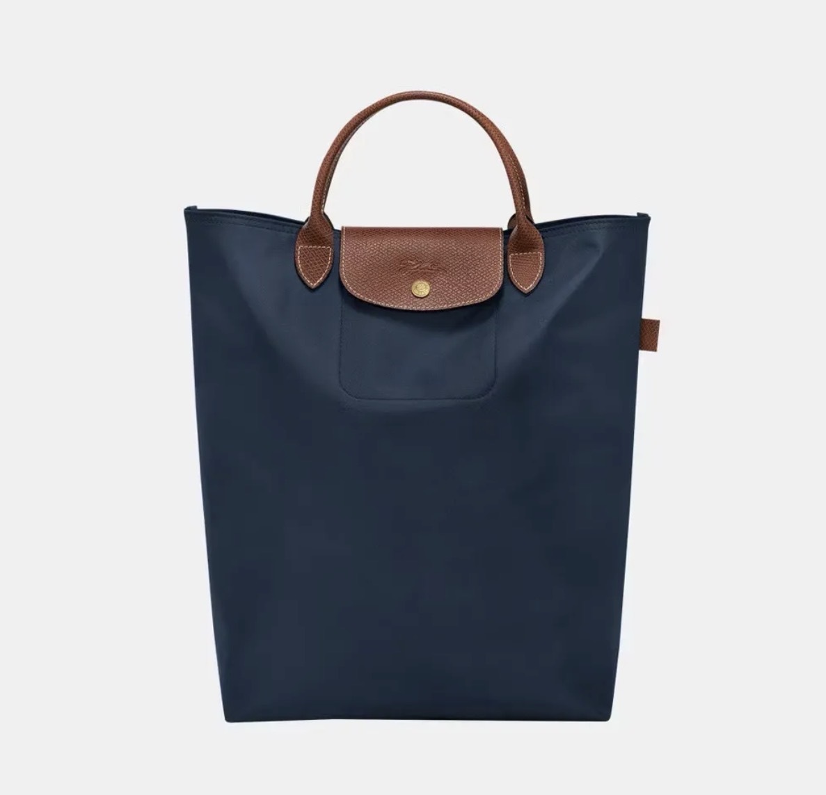 image_20FAF937-449B-4EB8-BE10-02BD2CBC8D3F_1764818542