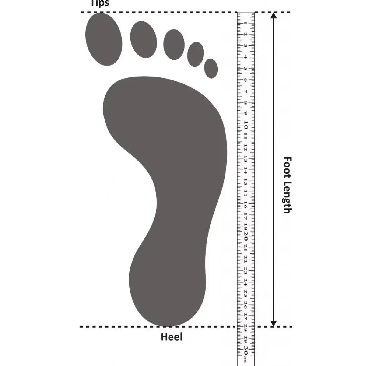 image_7955FB90-8E97-428D-9DE0-9039821ACF3D_1765082882