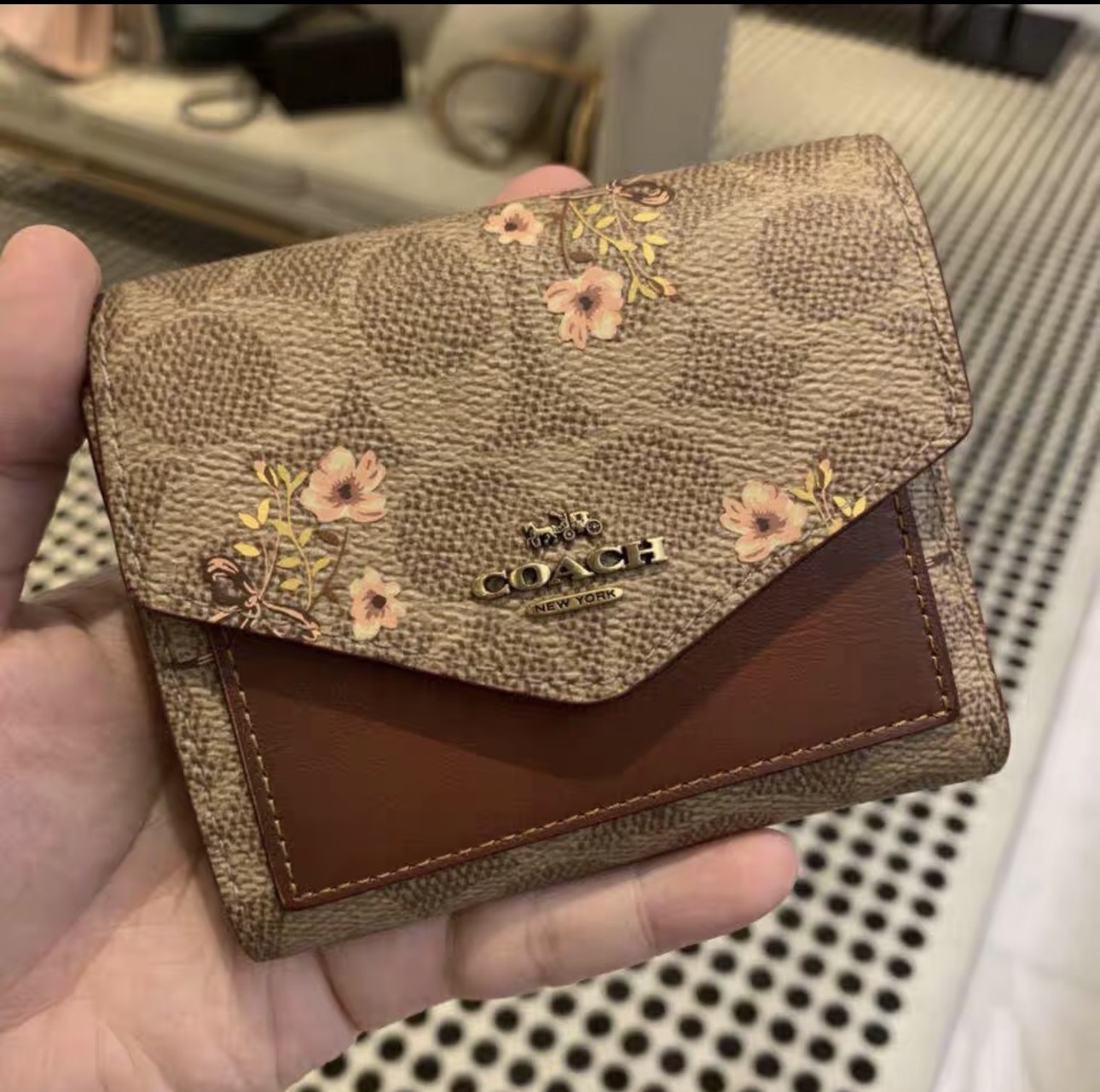 image_8C9DA3FF-BD3A-42E1-9F23-551C55DBFD7E_1769097034