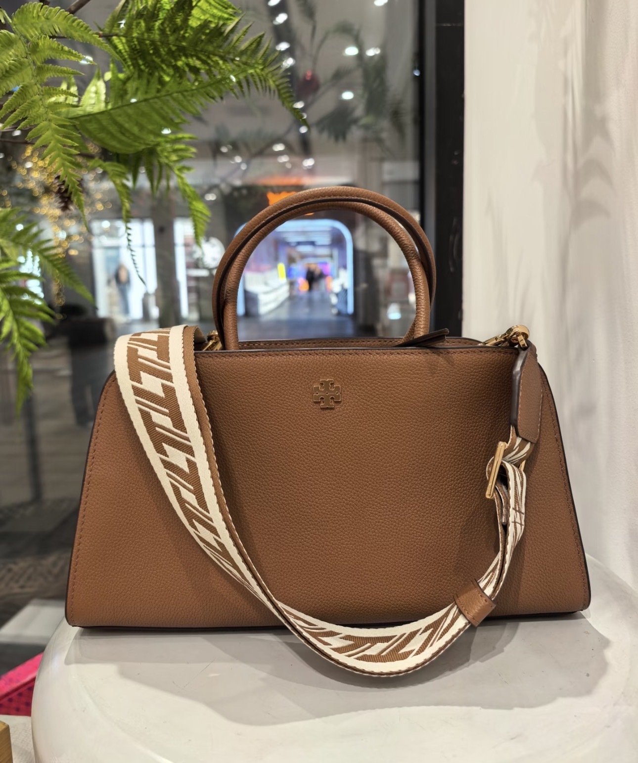 image_C0754640-33AB-488D-AD68-44785B0FBDAE_1769230268