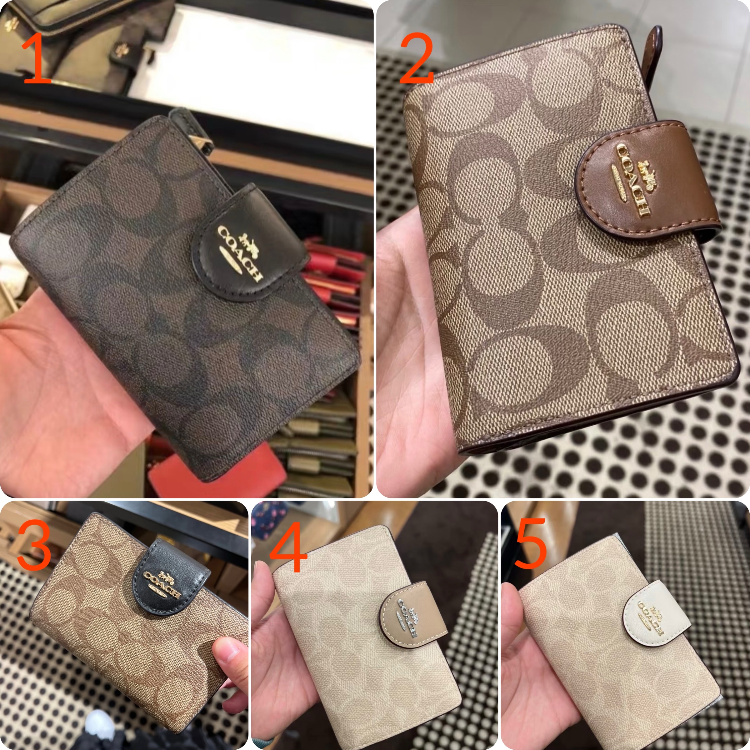 image_7CD14796-3141-4518-B9B5-93B2170CFBF9_1769884253