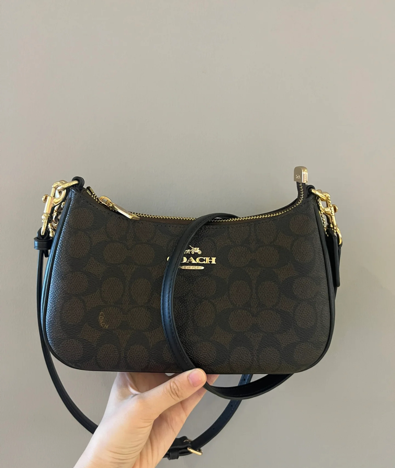 IMG_5613-1727240692532