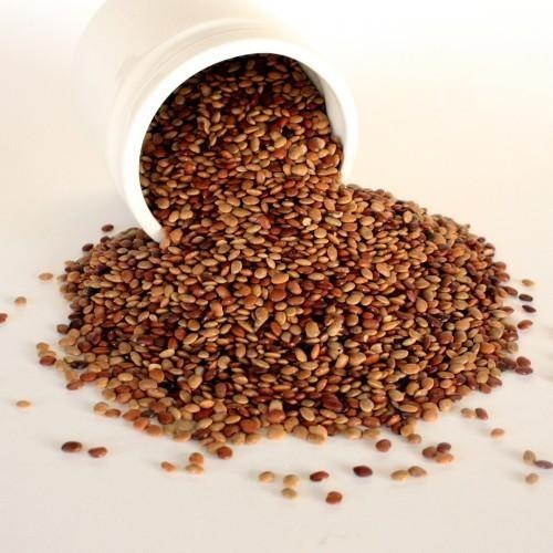 8254383ab65d4ca22b6deb47c728088af92c_1717746932916