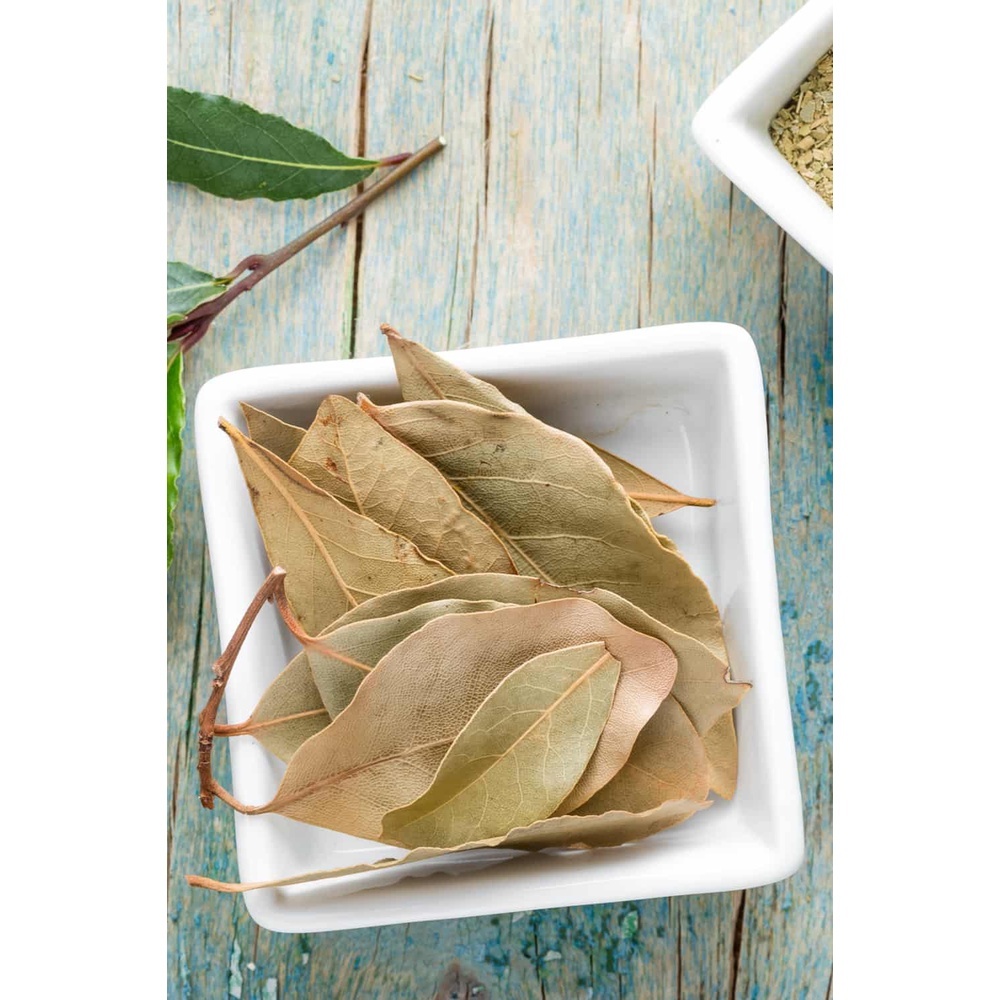 477125b843a2a0a48e68eb7f2f8fa2f60215_1717744419807