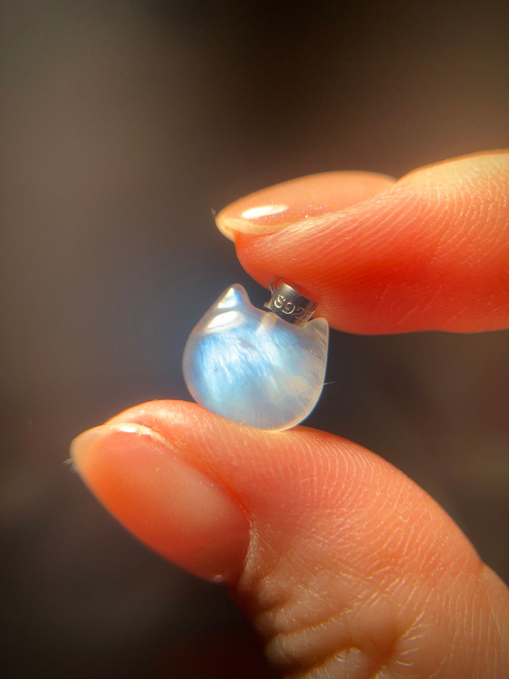 image_DF973D70-2C29-45CA-A699-F4D90E871D7A_1775313562