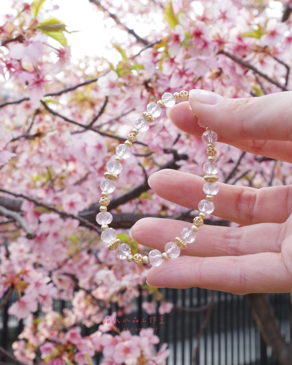 image_1E9C42F4-5C18-4C3D-A36E-B2368FE289CB_1775651601